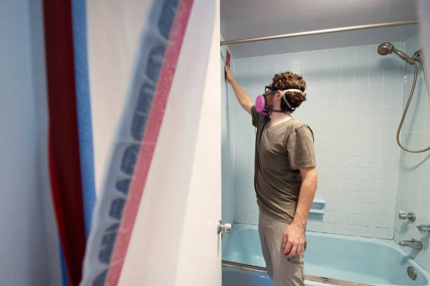 Biohazard Mold Removal in Kingstree, SC