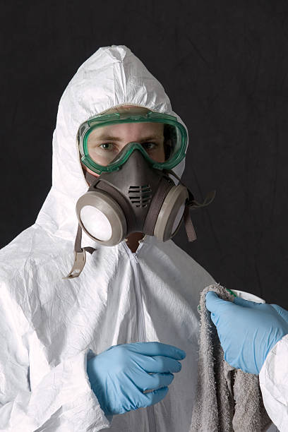 Best Mold Damage Restoration  in Kingstree, SC